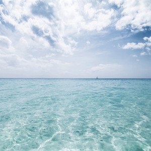 大香蕉久草在线视频
